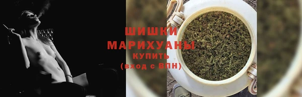 ГАЛЛЮЦИНОГЕННЫЕ ГРИБЫ Вяземский