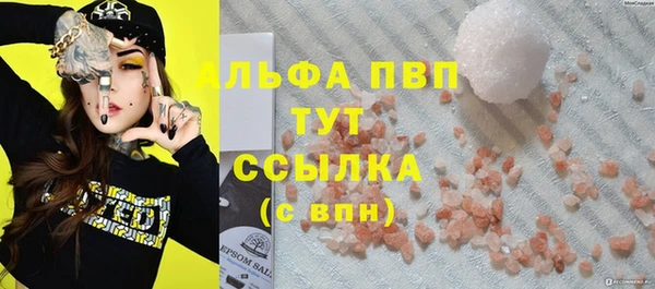 ГАЛЛЮЦИНОГЕННЫЕ ГРИБЫ Вяземский